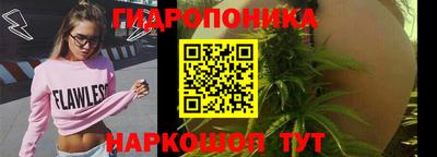 твердый Гусь-Хрустальный